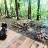 Review photo of Beech Hollow Hideout by Shelly S., June 18, 2019