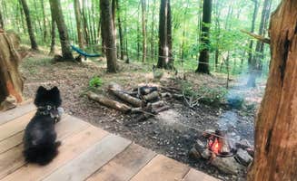 Shelly S.'s photo of camping with pets at Beech Hollow Hideout near Granville, TN
