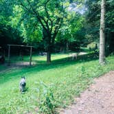 Review photo of Beech Hollow Hideout by Shelly S., June 18, 2019