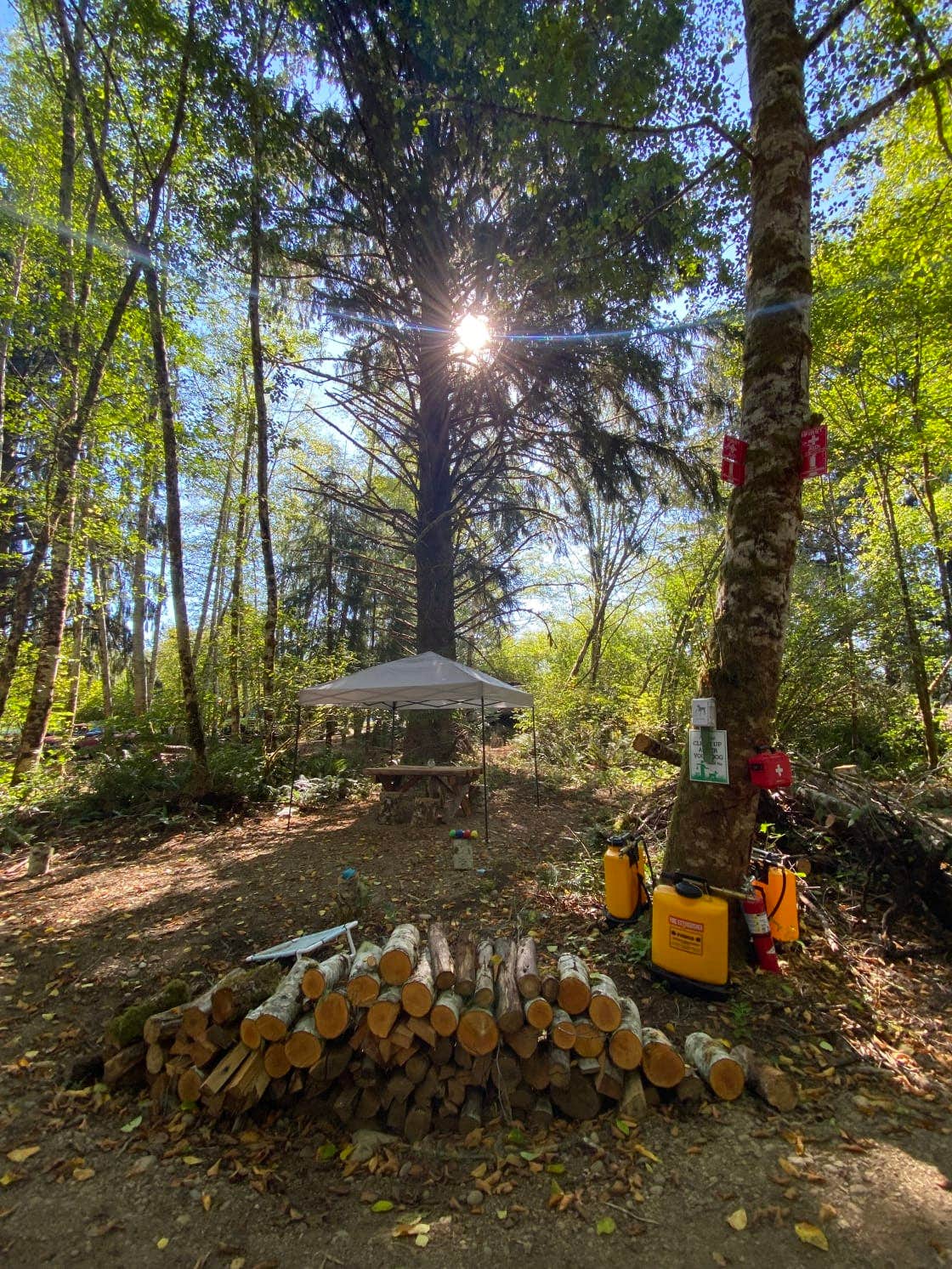 Roxanne's photo of tent camping at Wandering Woodlands near Forks, WA