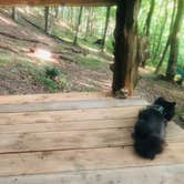 Review photo of Beech Hollow Hideout by Shelly S., June 18, 2019