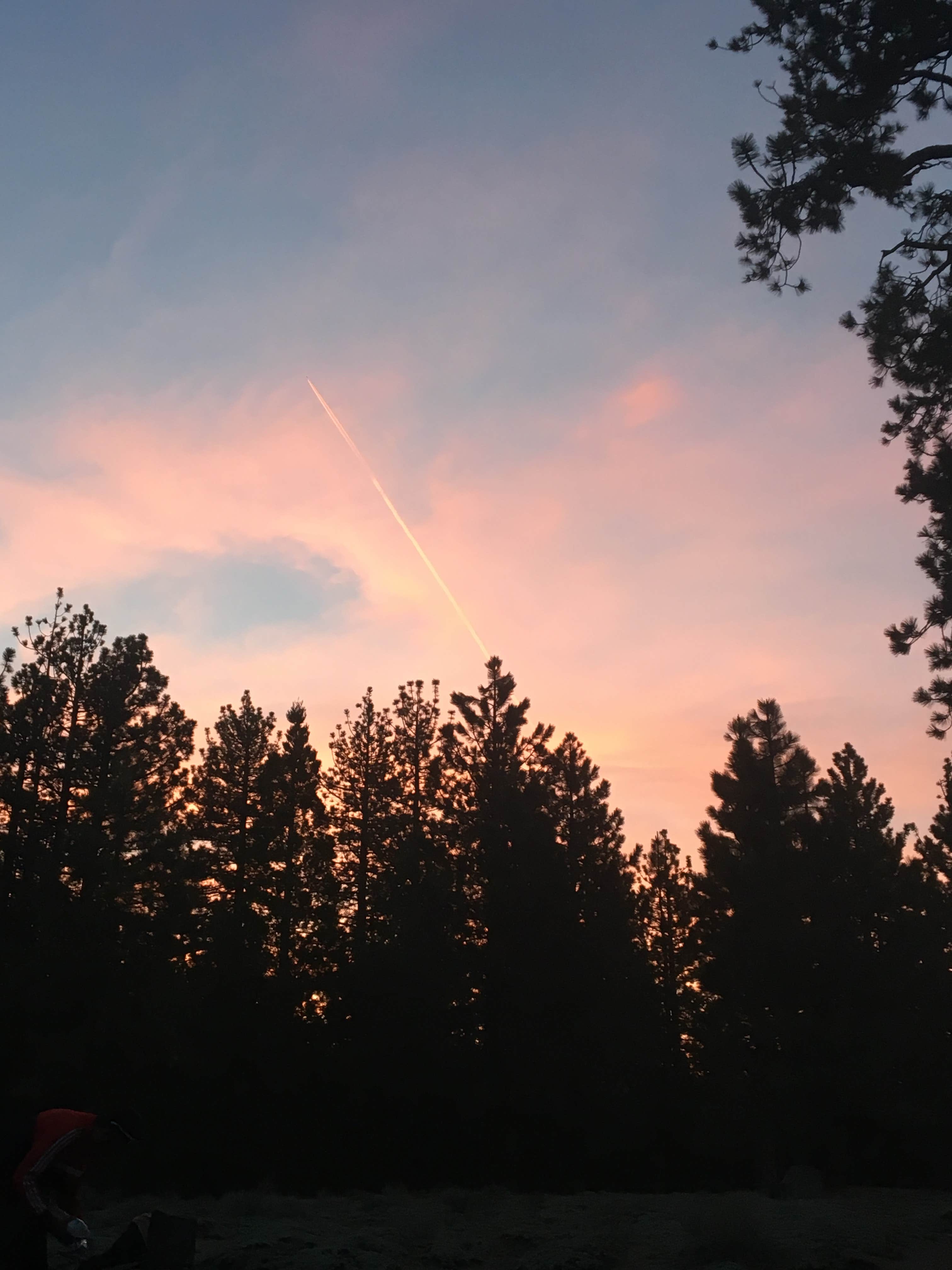 Camper submitted image from Mt. Pinos Campground - 2