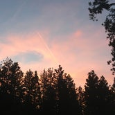 Review photo of Mt. Pinos Campground by Emily R., June 18, 2019