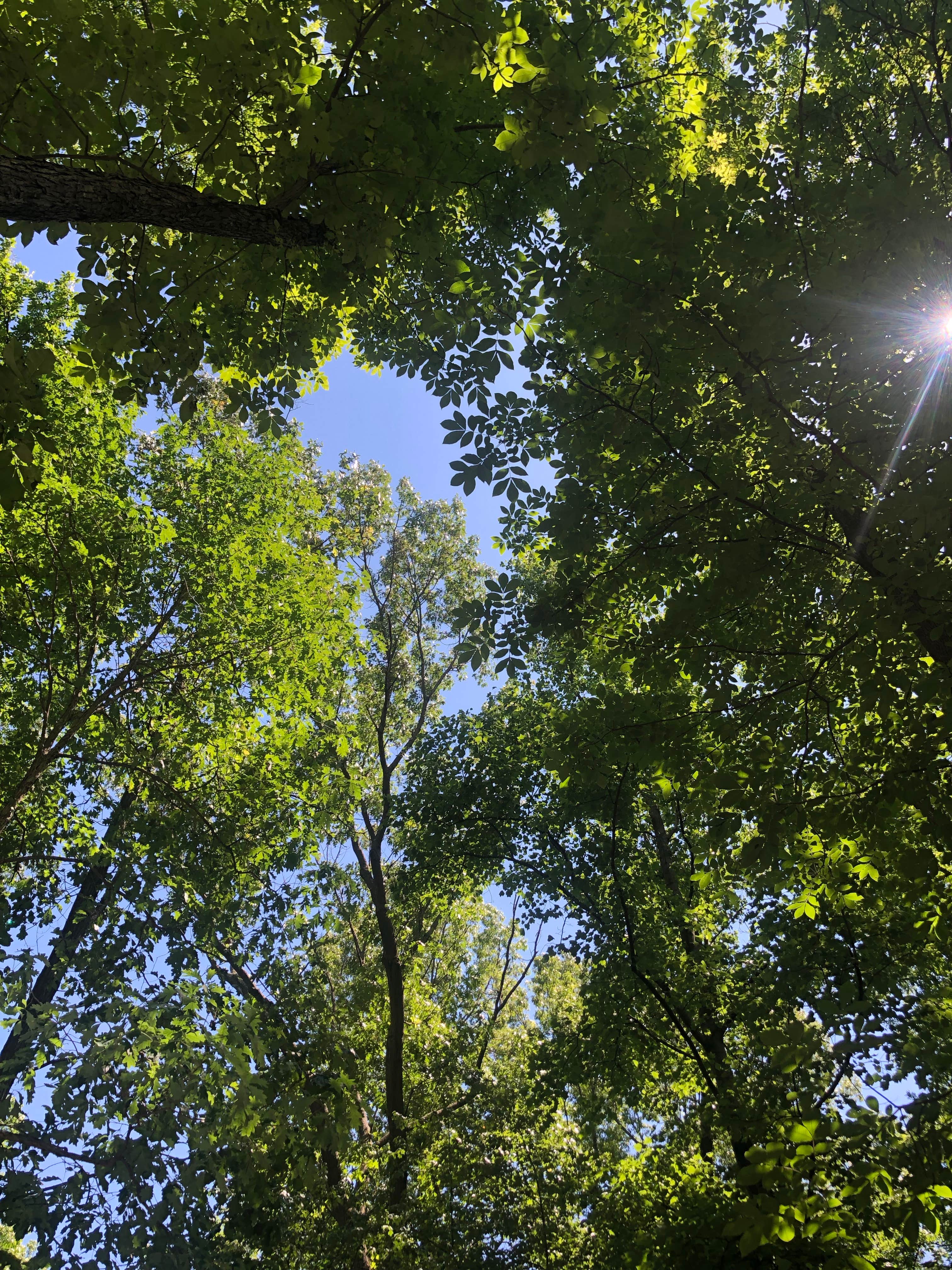 Camper-submitted photo at Ramblin&#x27; Pines near Chevy Chase, MD