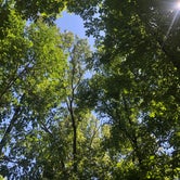 Review photo of Ramblin' Pines by Jason L., June 18, 2019