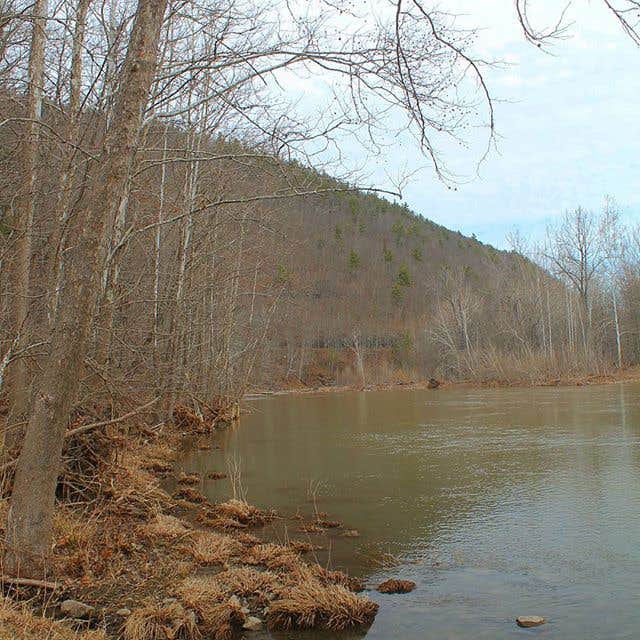 Max V Shaul State Park Camping The Dyrt