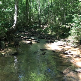 the beautiful creek