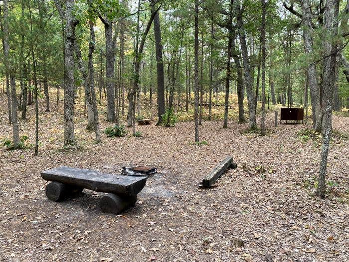 Camper submitted image from White Pine Backcountry Campground Permits — Sleeping Bear Dunes National Lakeshore - 2