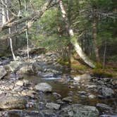 Review photo of Lewey Lake — DEC by Nadia V., September 1, 2016