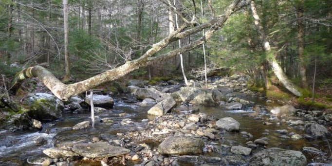 Camper submitted image from Lewey Lake — DEC - 3