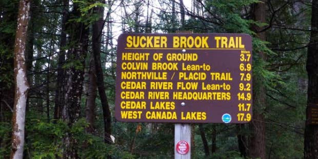 Camper submitted image from Lewey Lake Campground