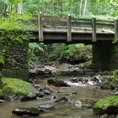 Review photo of Glade Creek Campground — New River Gorge National Park and Preserve by Jonda M., June 18, 2019