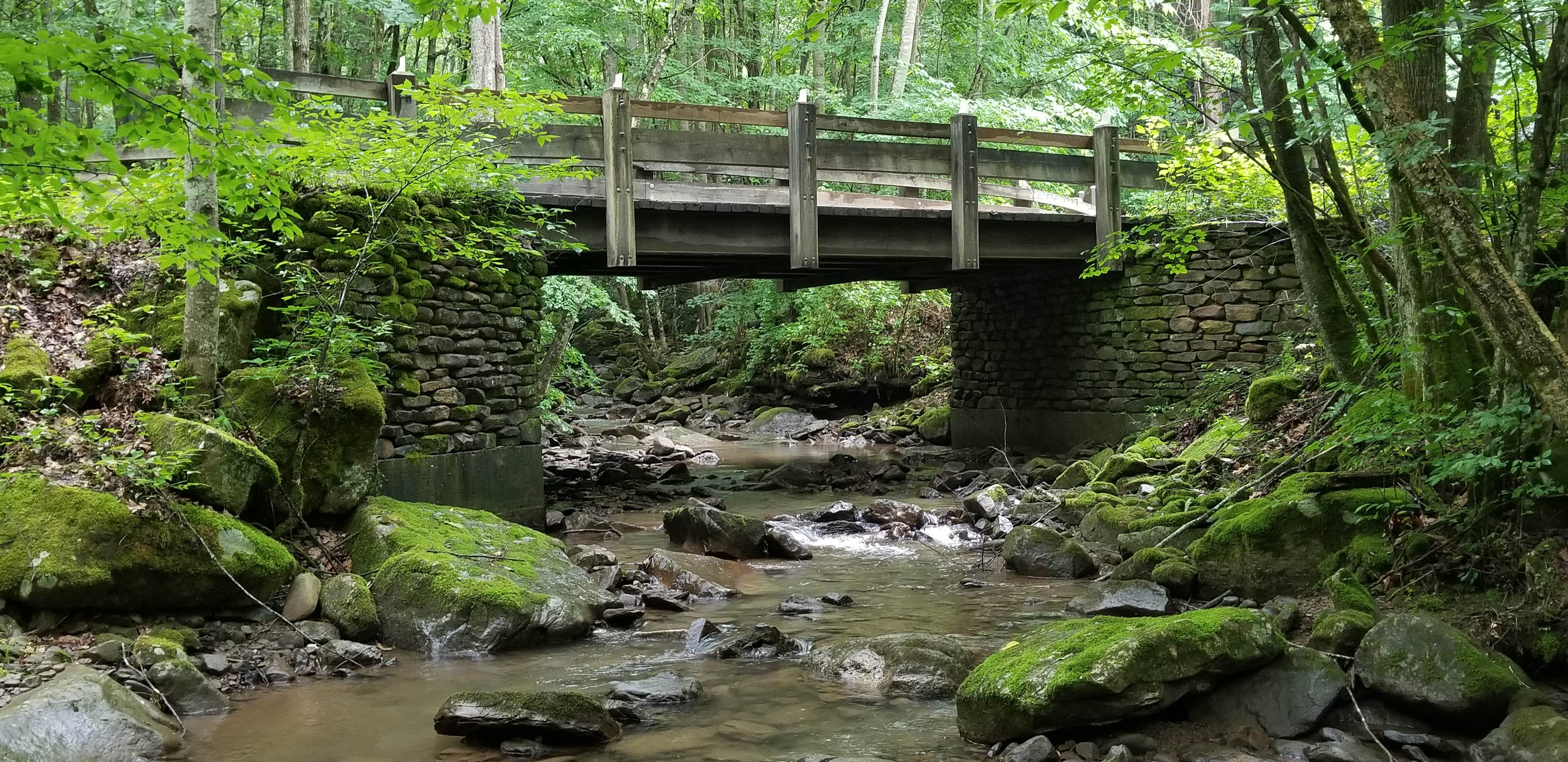 Camper submitted image from Glade Creek Campground — New River Gorge National Park and Preserve - 3