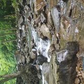 Review photo of Glade Creek Campground — New River Gorge National Park and Preserve by Jonda M., June 18, 2019