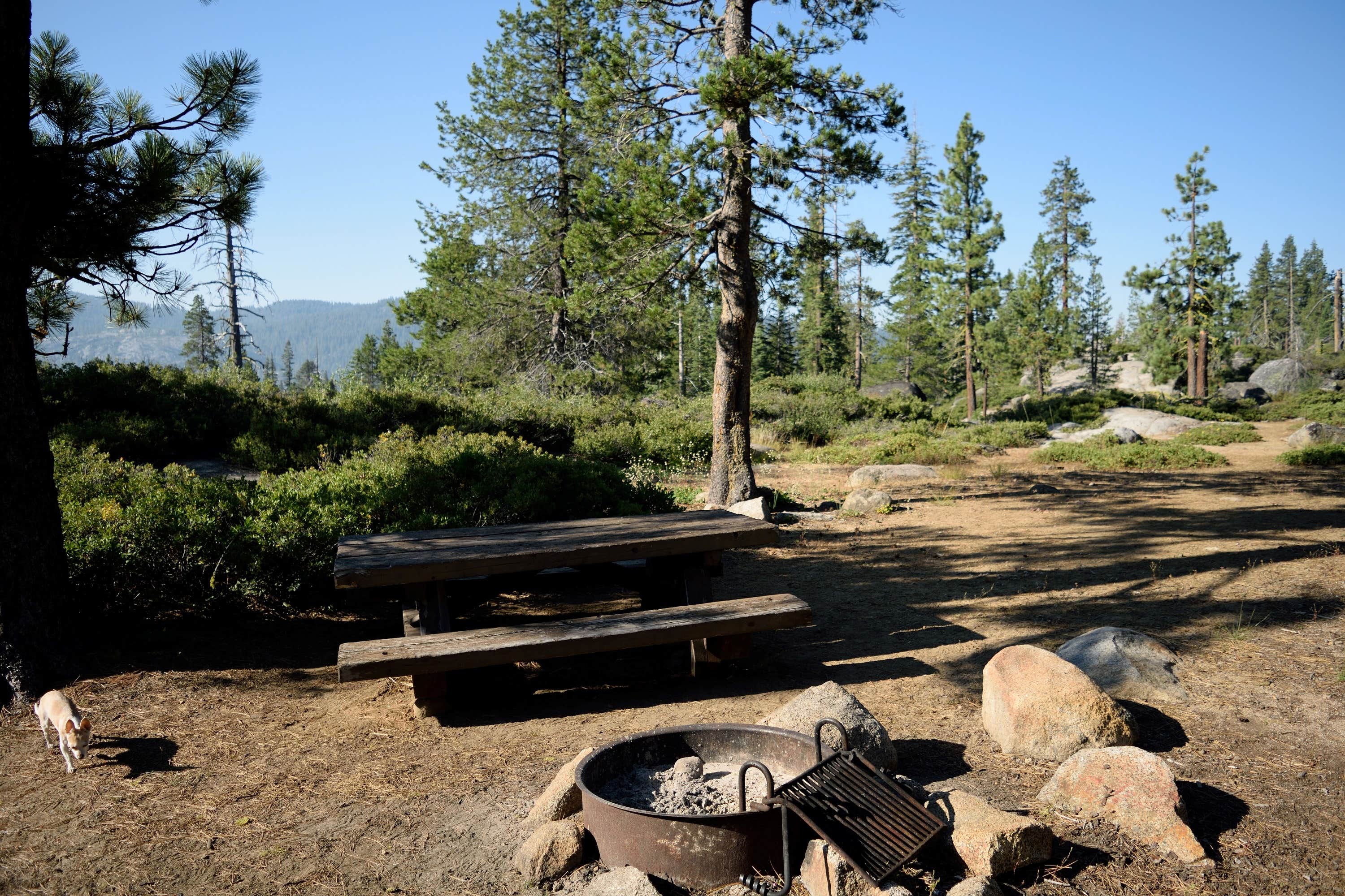 Camper submitted image from Big Meadow Campground - 2