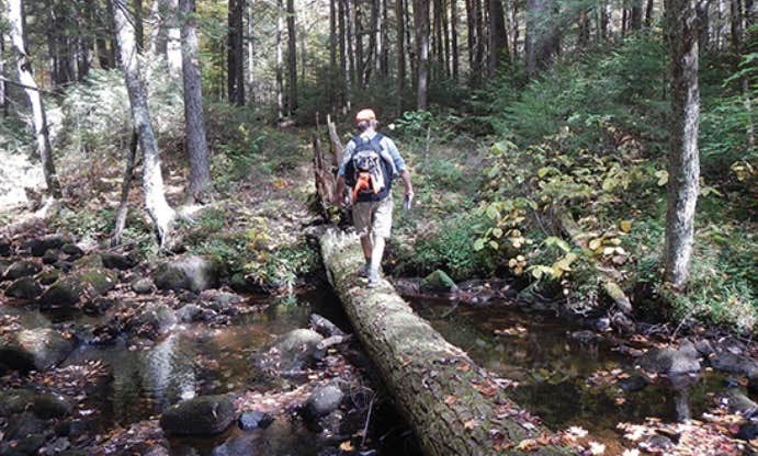 Camper submitted image from Lewey Lake — DEC - 4