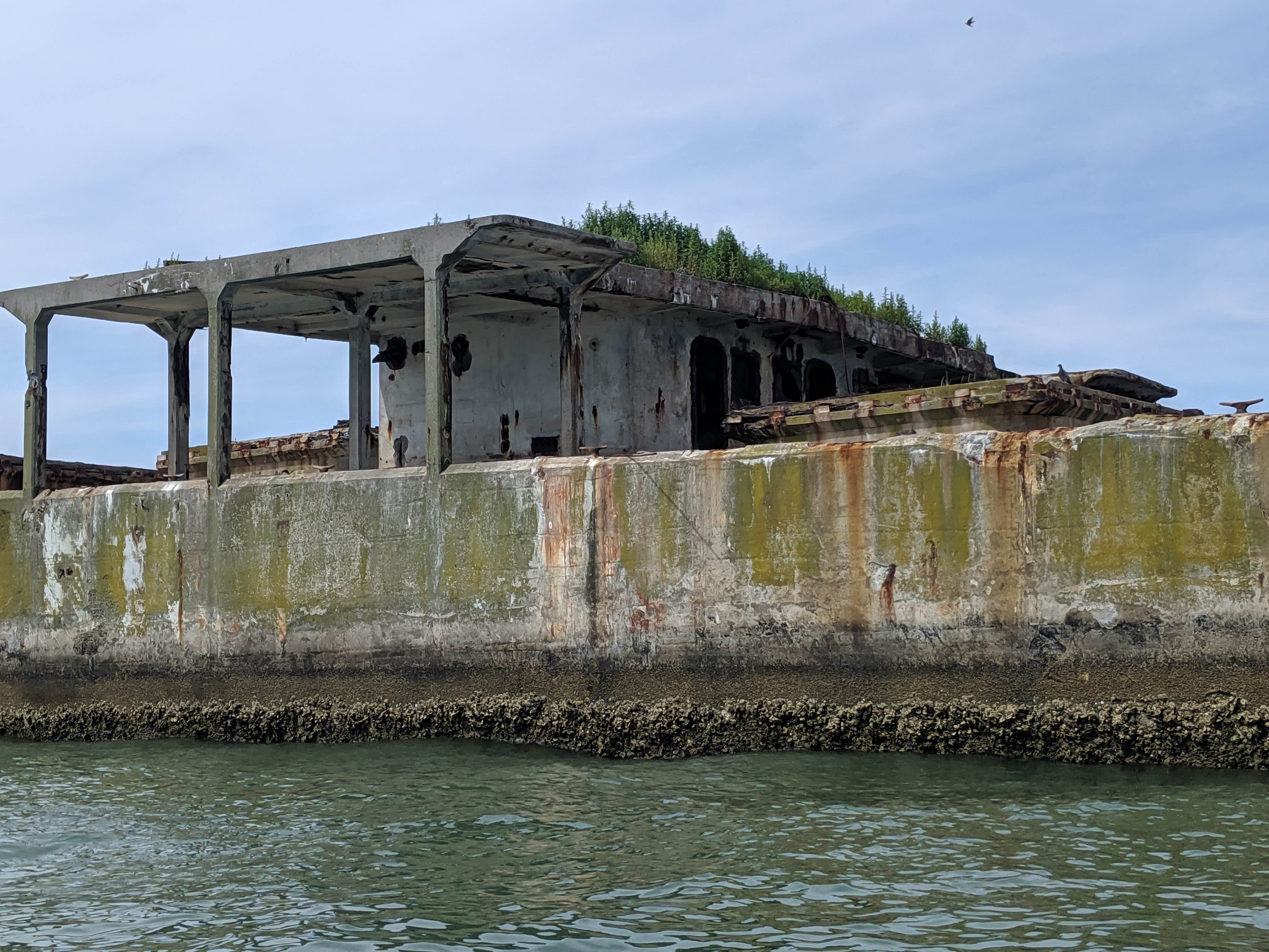 Camper-submitted photo at Kiptopeke State Park Campground in Virginia