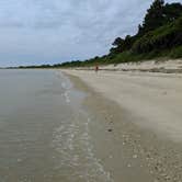 Review photo of Kiptopeke State Park Campground by Shelene D., June 18, 2019