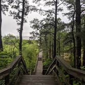 Review photo of Kiptopeke State Park Campground by Shelene D., June 18, 2019