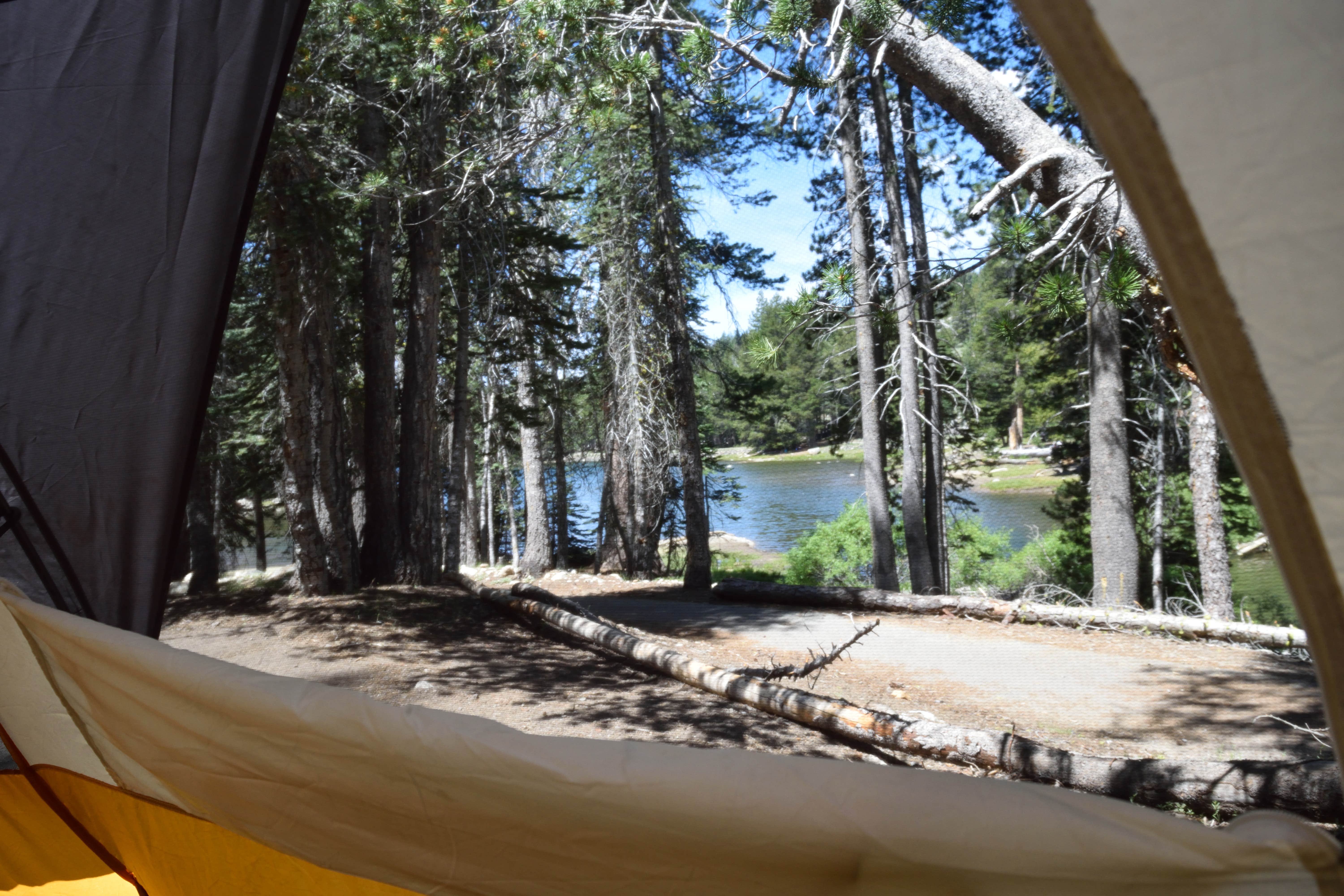 Camper submitted image from Pine Marten Campground - 1
