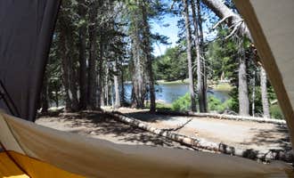Camping near Utica/Union Reservoirs: Pine Marten Campground, Bear Valley, California
