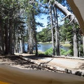 Review photo of Pine Marten Campground by Jen B., June 18, 2019