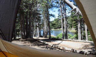 Camping near Silver Lake West: Pine Marten Campground, Bear Valley, California