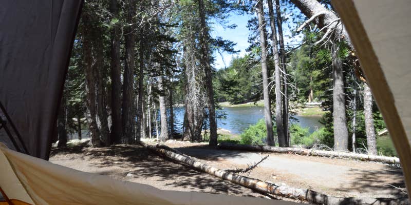 Camper submitted image from Pine Marten Campground