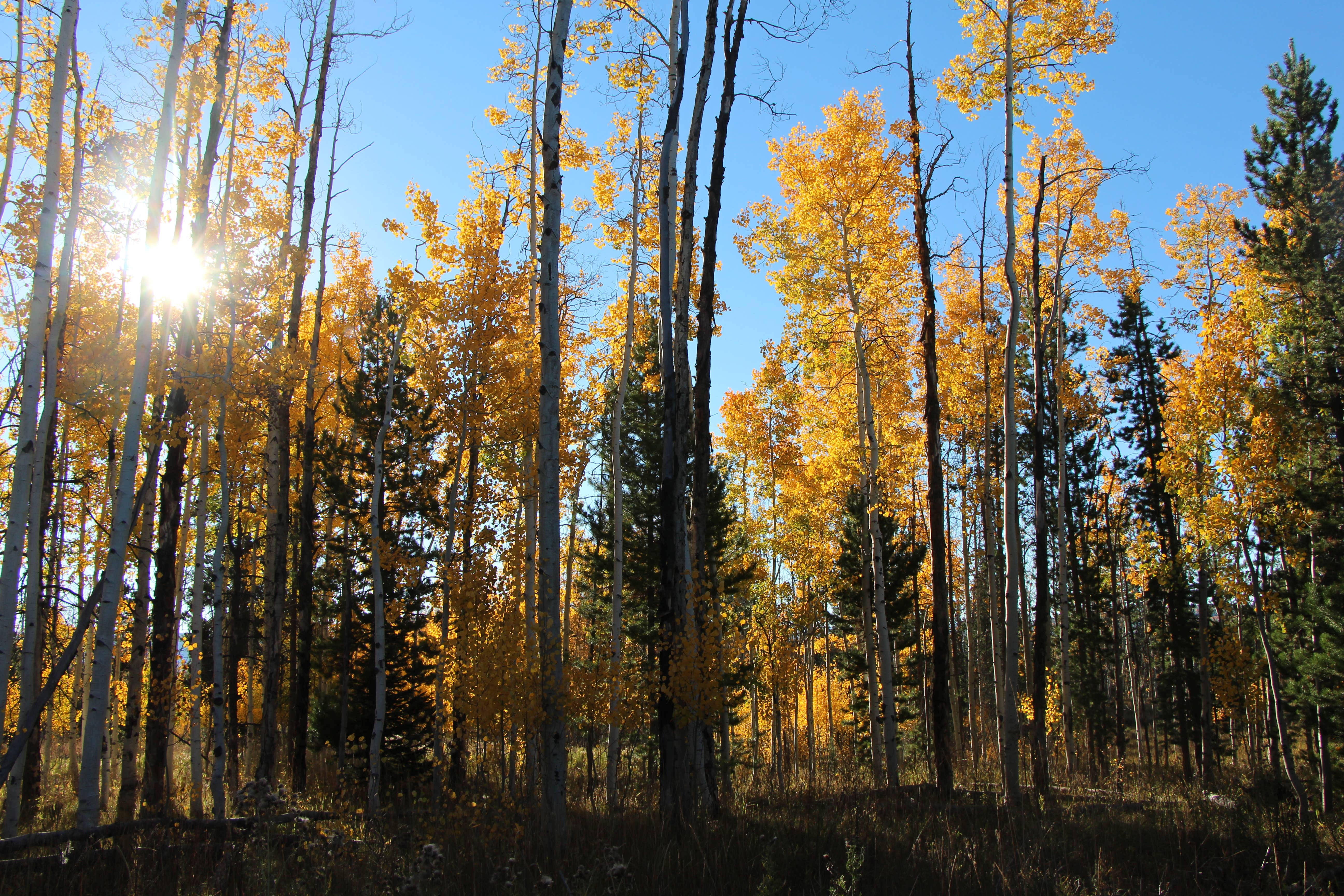 Camper submitted image from Warner Lake - 2