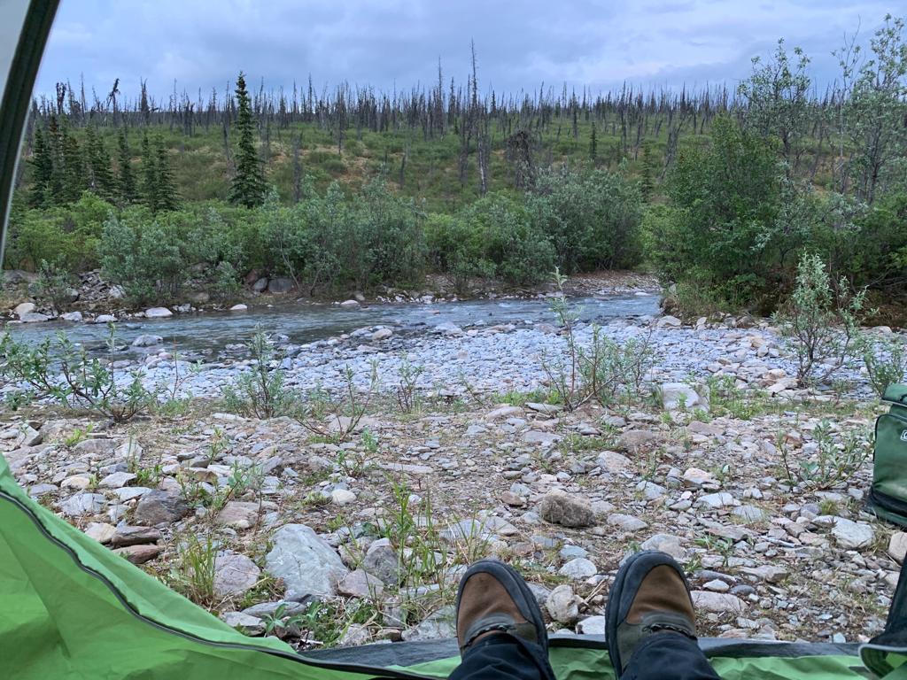 Camper submitted image from Mount Prindle Campground - 1