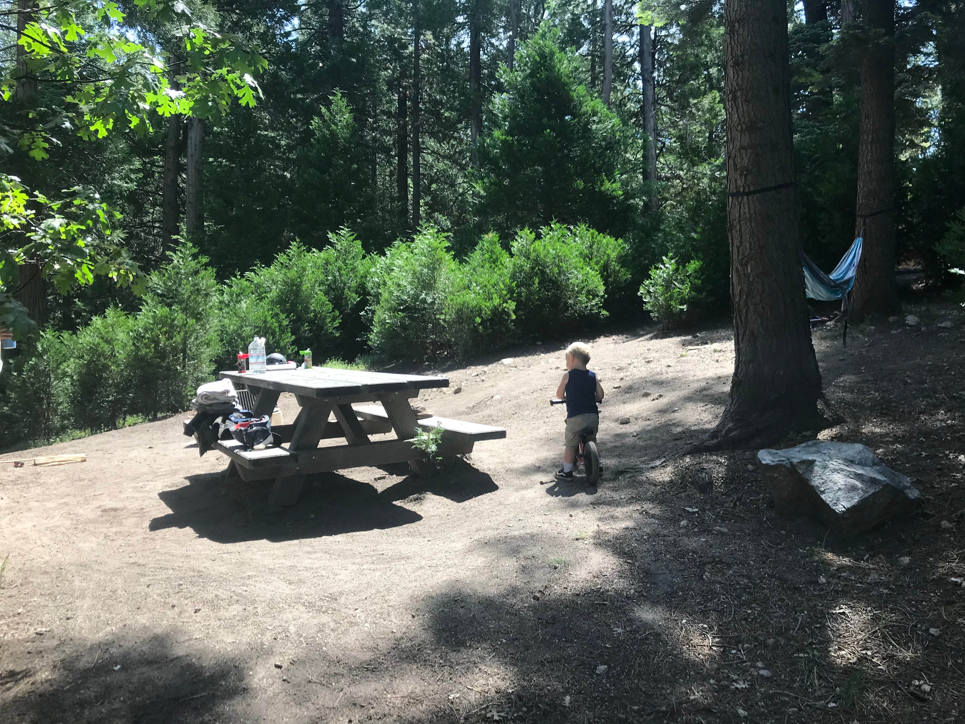 Camper-submitted photo at Dogwood near Colton, CA