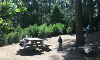 Camping near Fishermans Group Campground: Dogwood, Rimforest, California