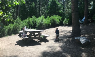 Camping near La Petite Cottage: Dogwood, Rimforest, California