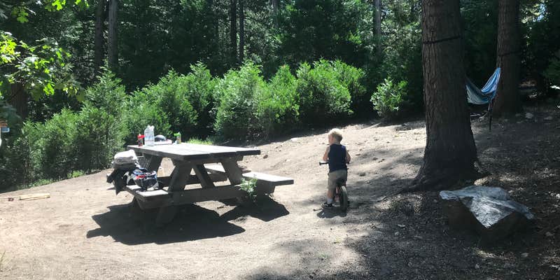 Camper submitted image from Dogwood