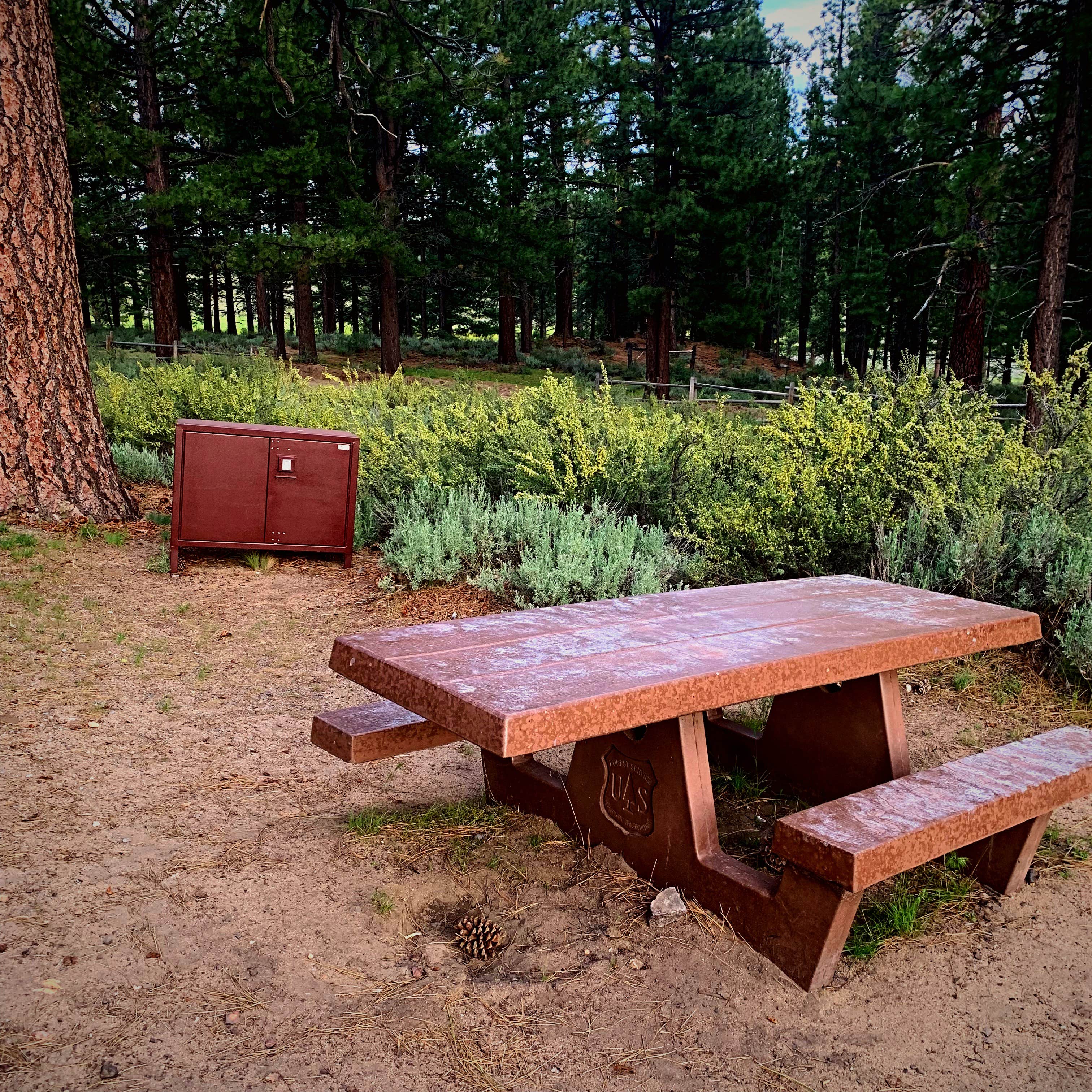 Camper-submitted photo at Meadow View Equestrian Campground near Susanville, CA