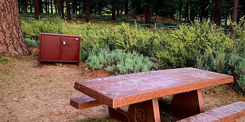 Camper submitted image from Meadow View Equestrian Campground