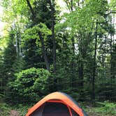 Review photo of Little Lake State Forest Campground by Paige H., June 18, 2019