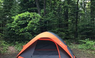 Paige H.'s photo at Little Lake State Forest Campground near Ishpeming, MI