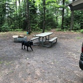 Review photo of Little Lake State Forest Campground by Paige H., June 18, 2019