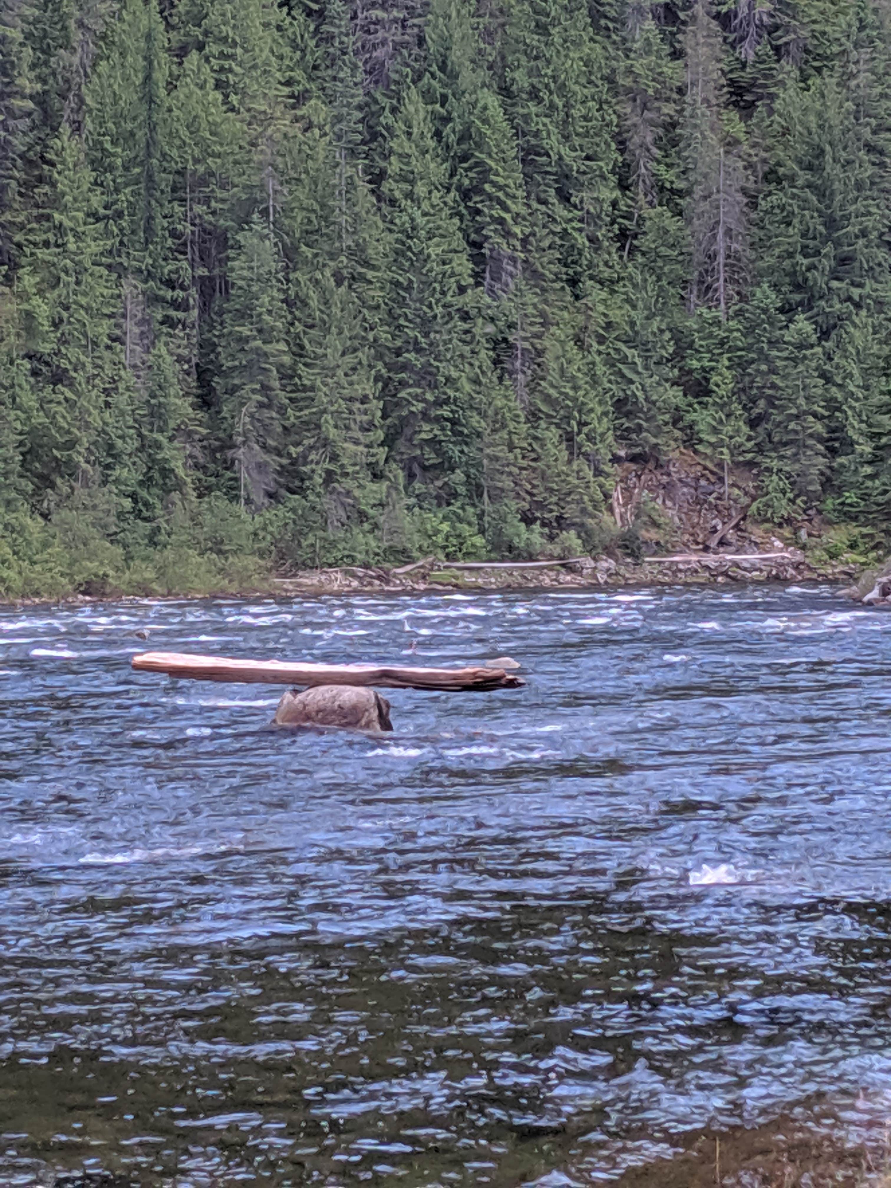 Camping near Station Creek Camp: Noe Creek Campground, Weippe, Idaho