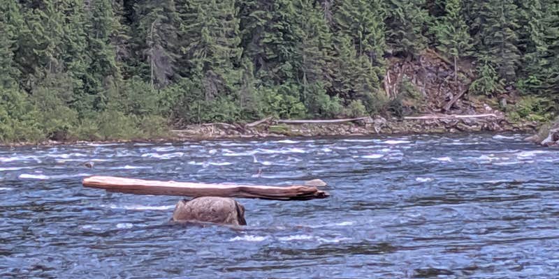 Camper submitted image from Noe Creek Campground