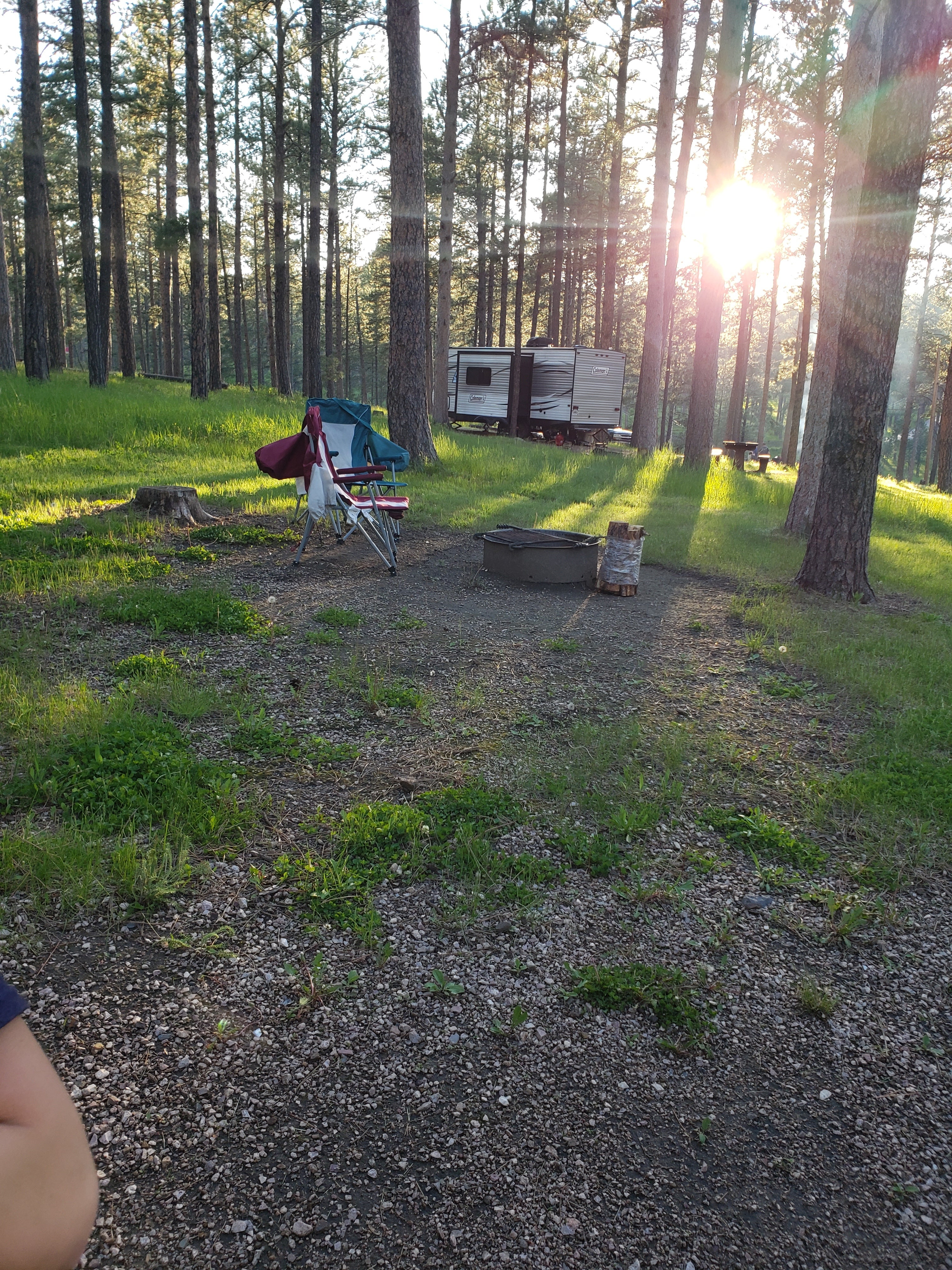 Camper submitted image from Sheridan Lake South Shore Campground - 4