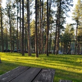 Review photo of Sheridan Lake South Shore Campground by Chris S., June 18, 2019