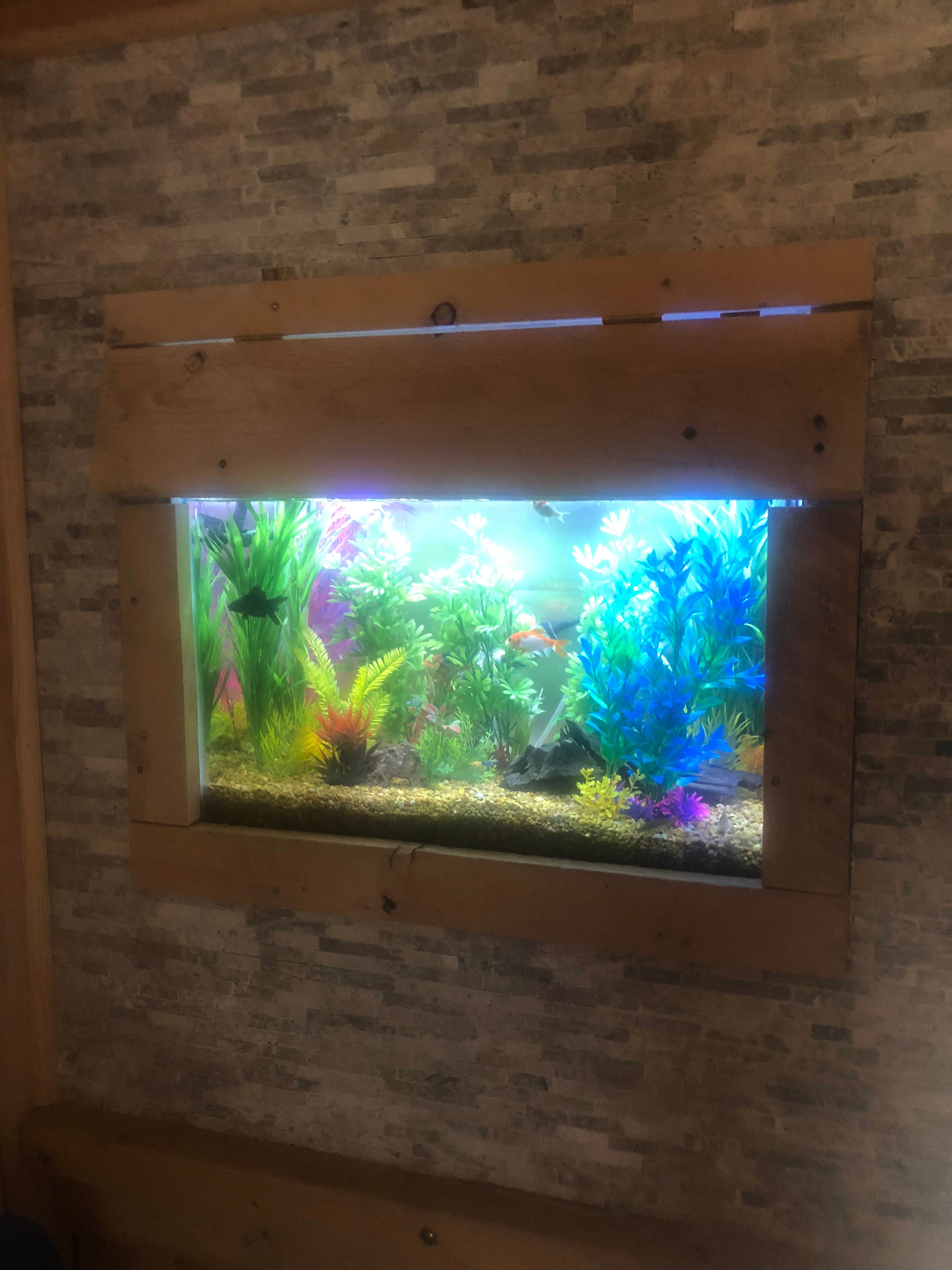 Camper-submitted photo at Country Campsites near Pleasant Valley, NY