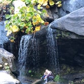 Review photo of Whisky Falls Campground by Mike N., June 18, 2019