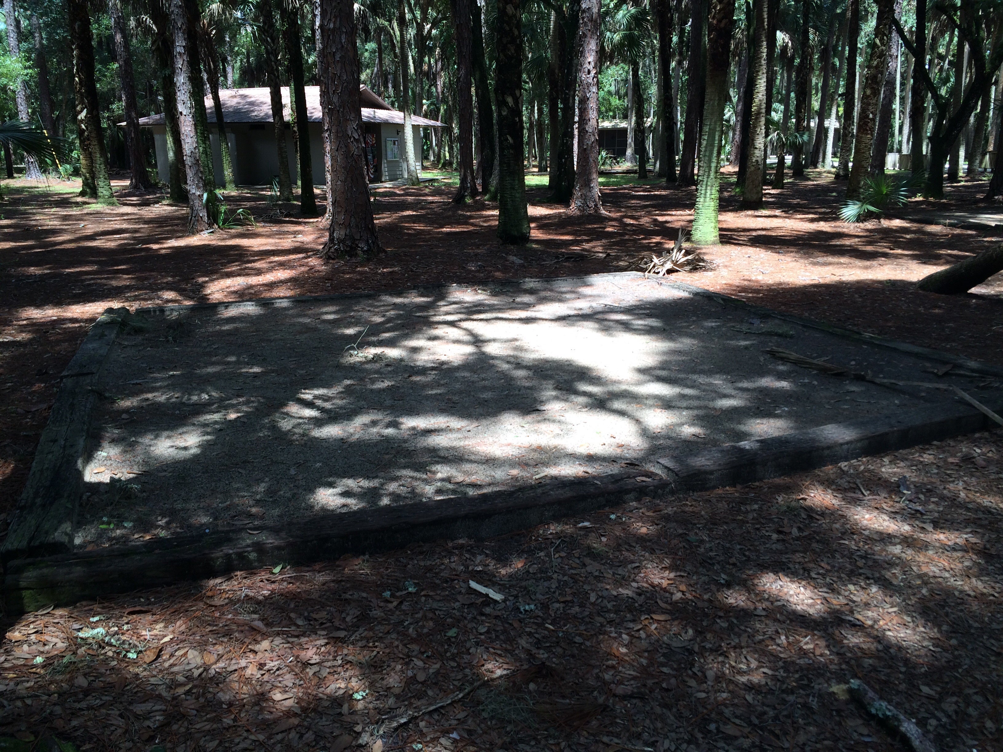 Camper submitted image from Hontoon Island State Park Campground - 4