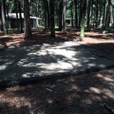 Review photo of Hontoon Island State Park Campground by Billy A., August 27, 2015