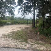 Review photo of Lake Manatee State Park Campground by Amanda C., June 18, 2019