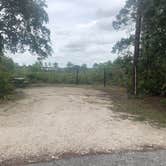 Review photo of Lake Manatee State Park Campground by Amanda C., June 18, 2019