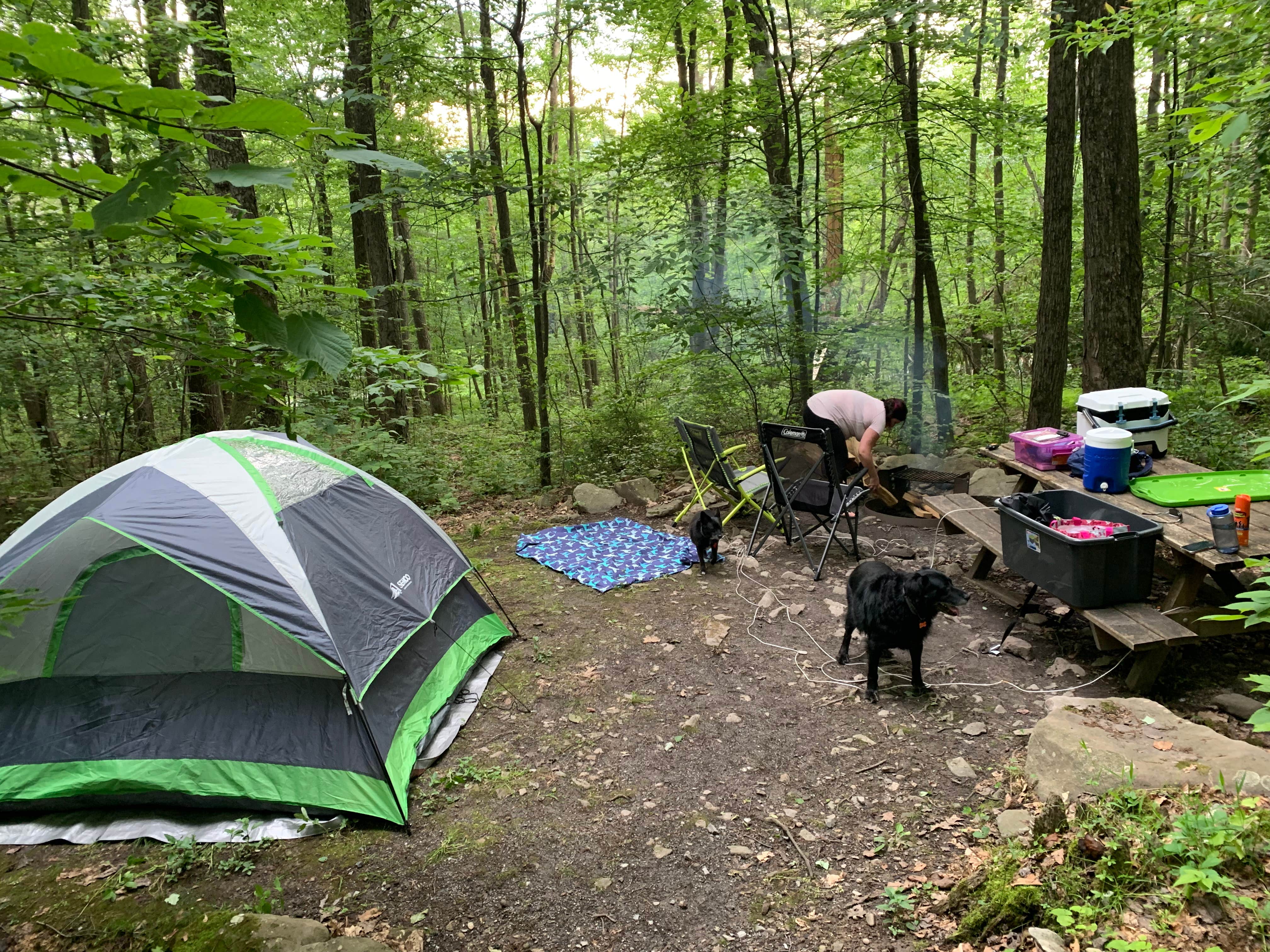 Sean Y.'s photo at Primitive Camping Area — Bald Eagle State Park near Mill Hall, PA